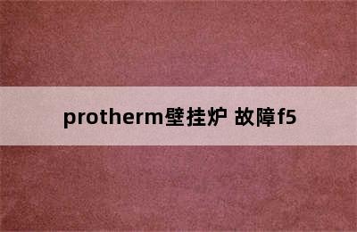 protherm壁挂炉 故障f5